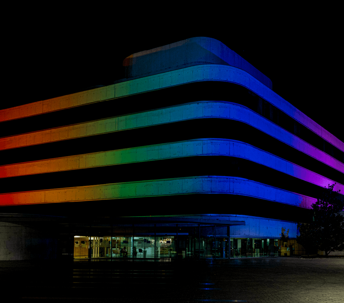 Conseil provincial de Grenade