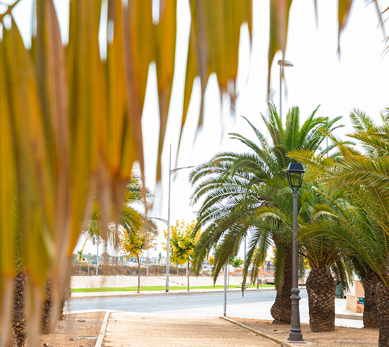 Alumbrado Público – La Rambla
