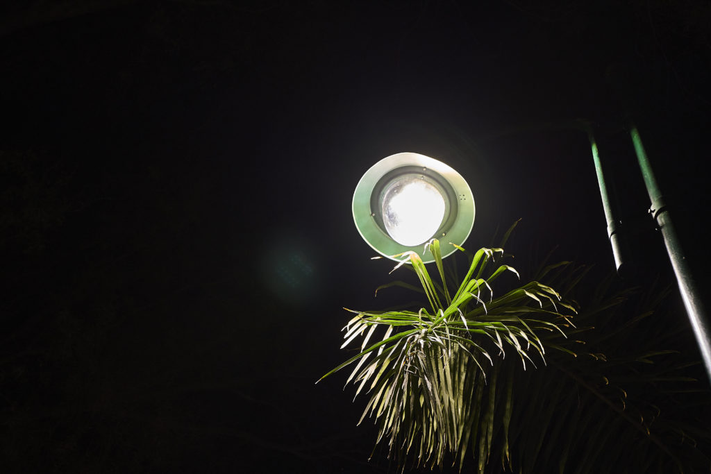 Renovación del alumbrado público en Málaga