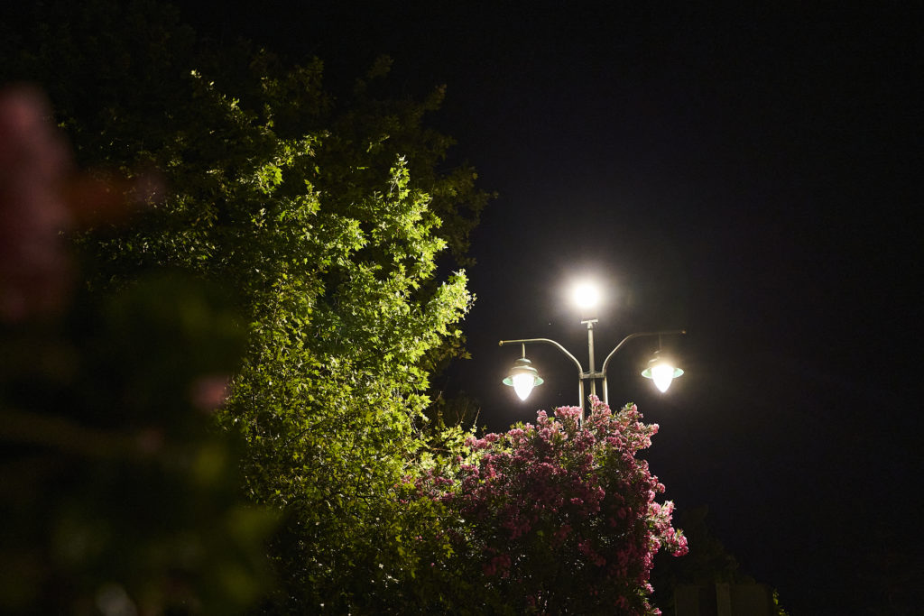 Renovación del alumbrado público en Málaga