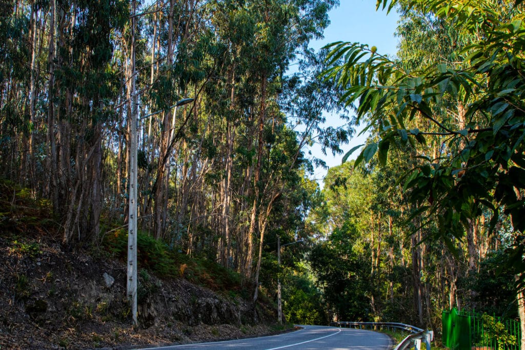 prilux-poio-samiera-vial-655