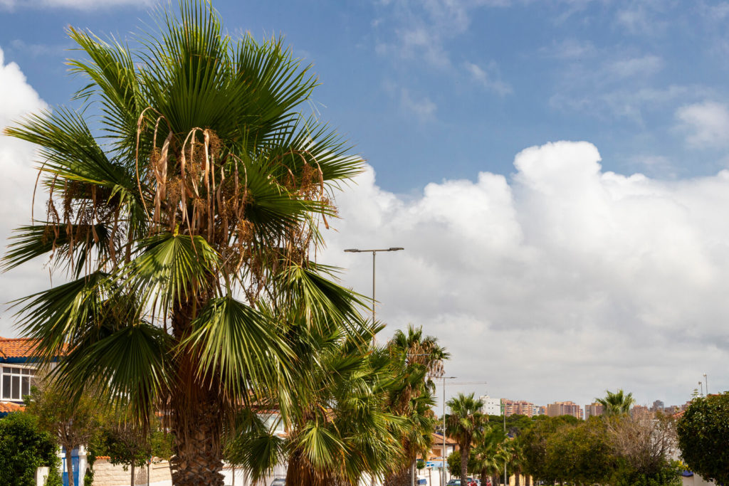 prilux-rio-seco-murcia-vial-142