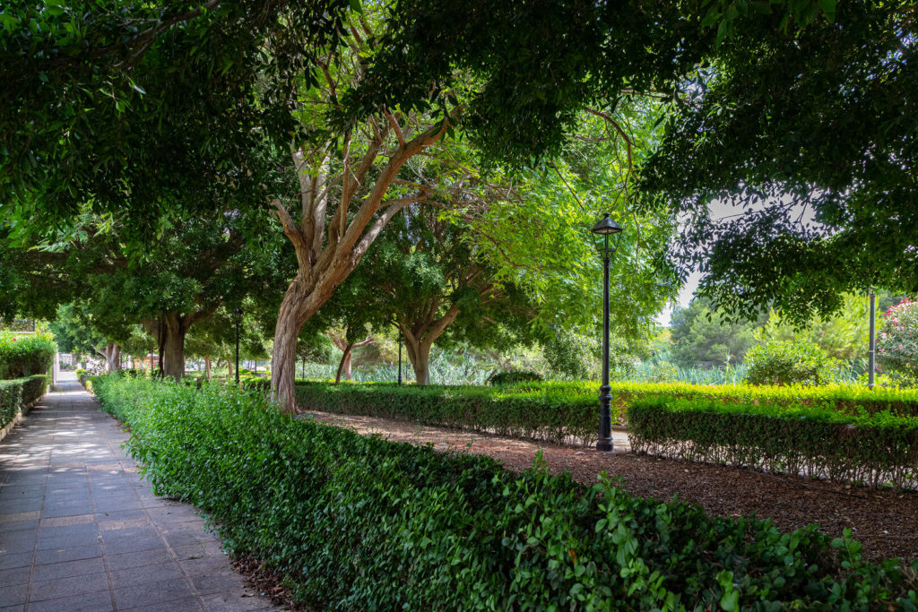 prilux-rio-seco-murcia-vial-148