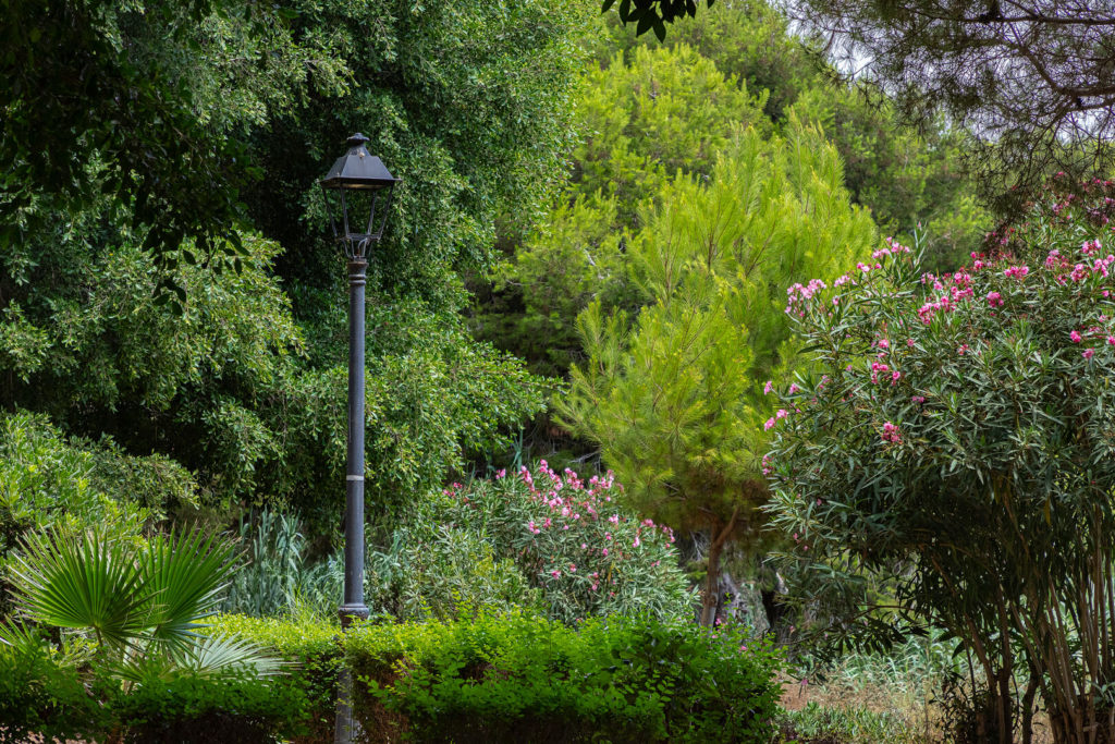 prilux-rio-seco-murcia-vial-151