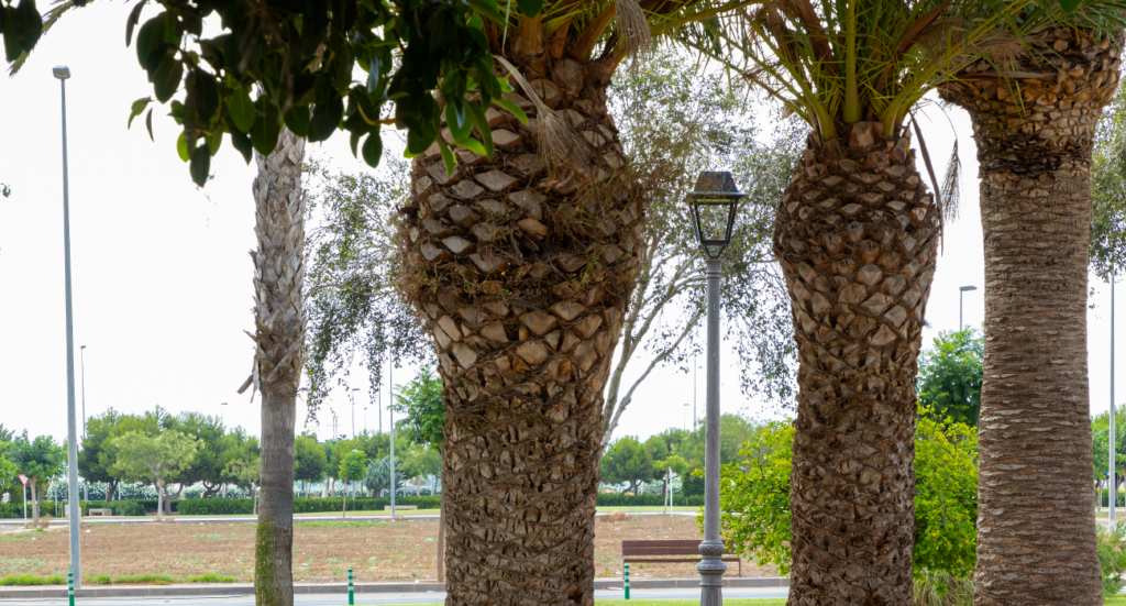 prilux-proyectolarambla-pilarhoradada-2