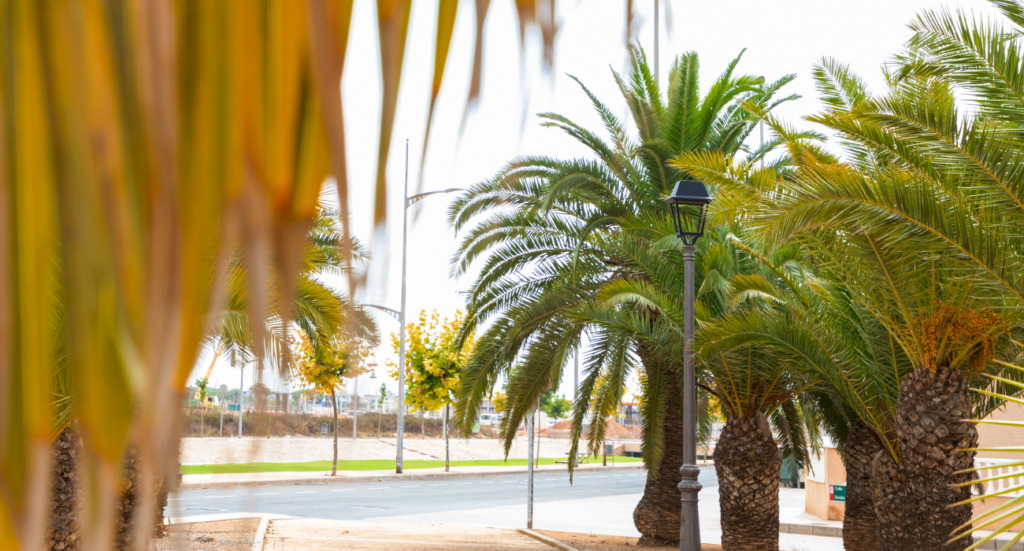 prilux-proyectolarambla-pilarhoradada-3