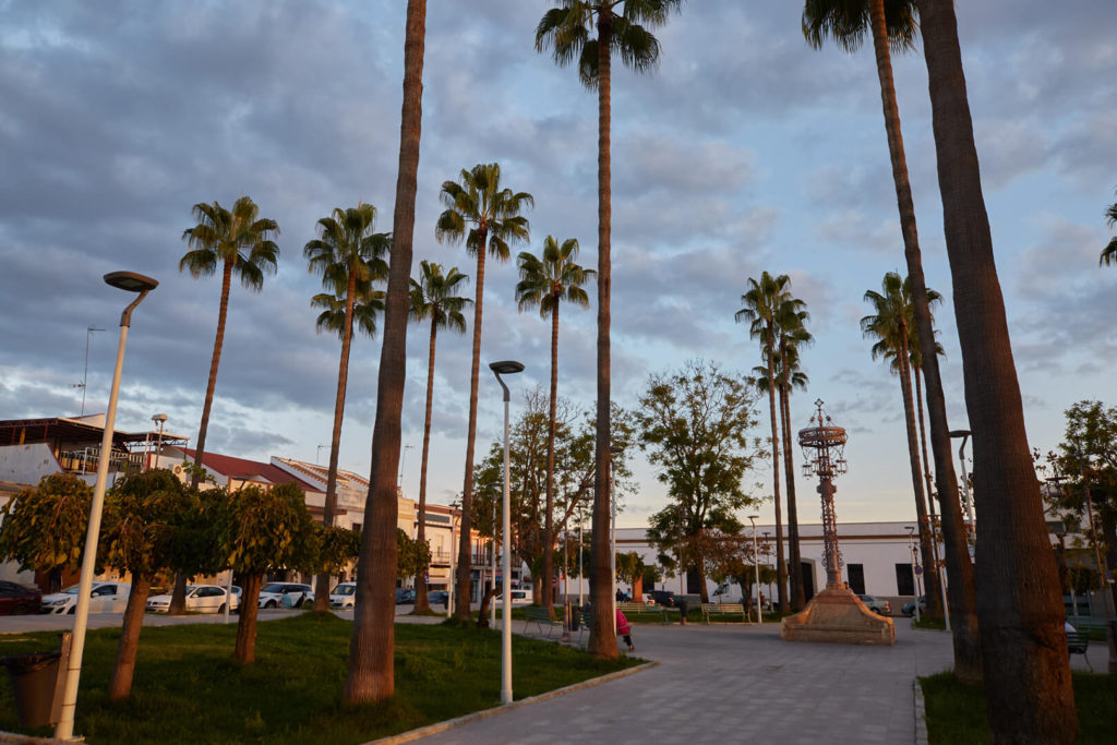 Rénovation de l’éclairage à Rociana del Condado (Huelva)