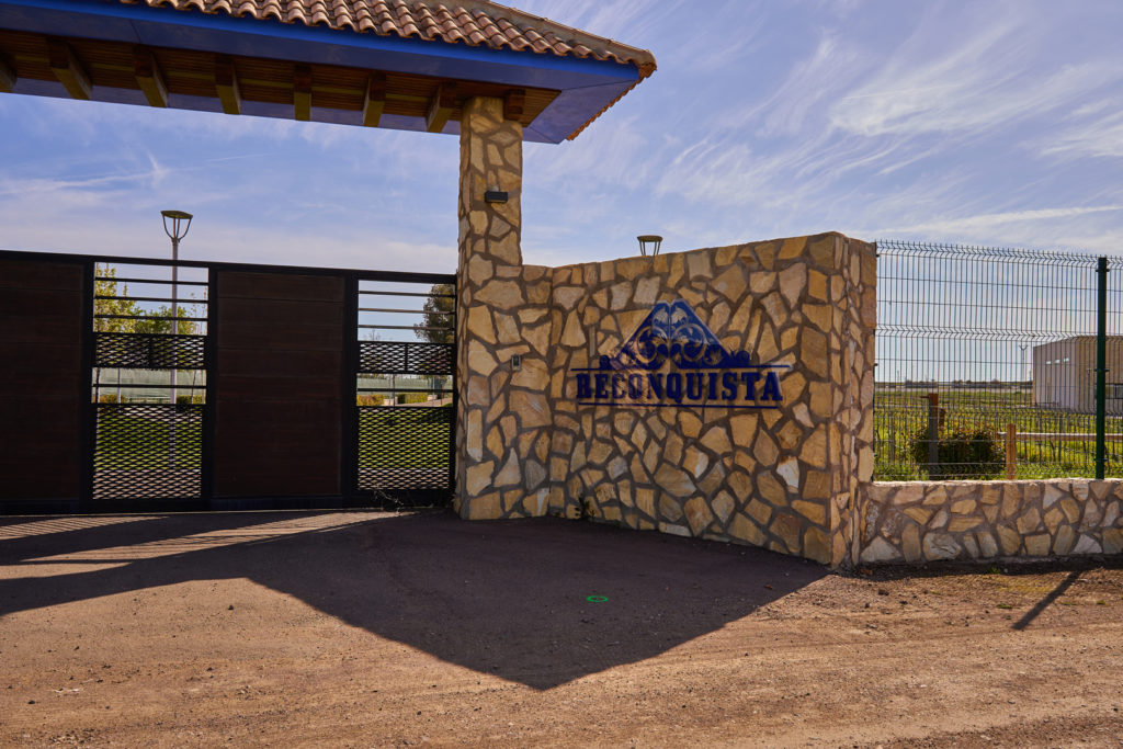 Iluminación Eficiente Bodegas Reconquista – Ciudad Real